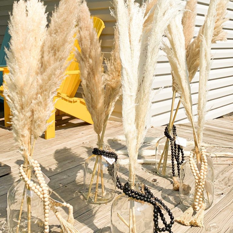 Pampas-Grass-image
