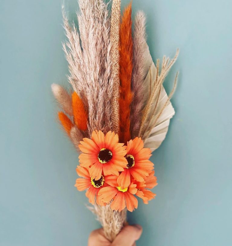 Pampas-Grass-image