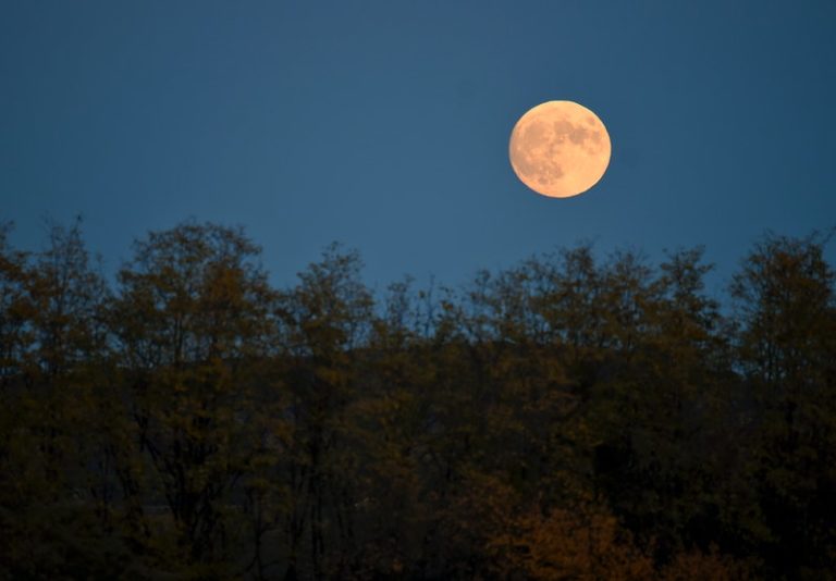 Here’s The Spiritual Meaning Of October’s Full Hunter’s Moon