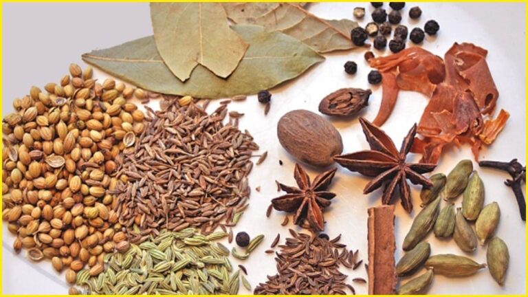 how-to-make-biryani-masala-at-home
