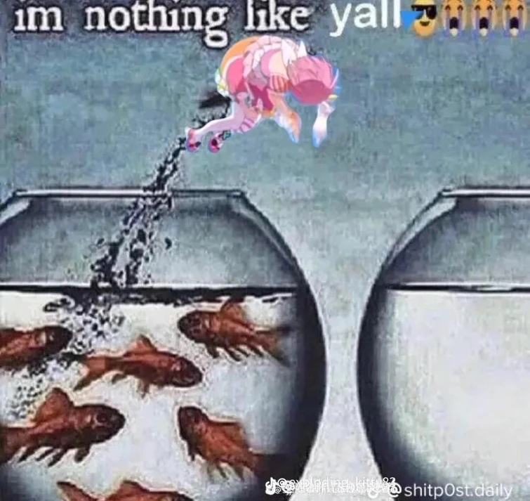 I’m Nothing Like Y’all Fish Meme Explained