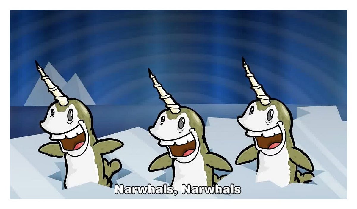 Narwhals, Narwhals Song Meme Origin and Meaning Narwhals, Narwhals Song Meme Origin and Meaning