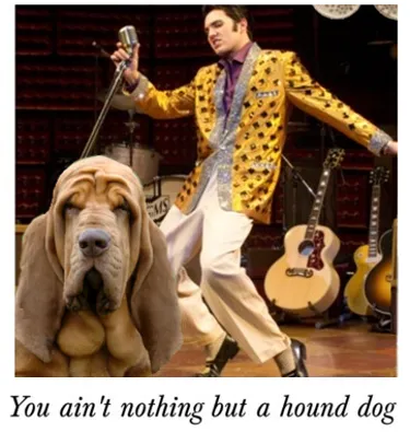 You Ain't Nothin' But A Hound Dog You Ain't Nothin' But A Hound Dog