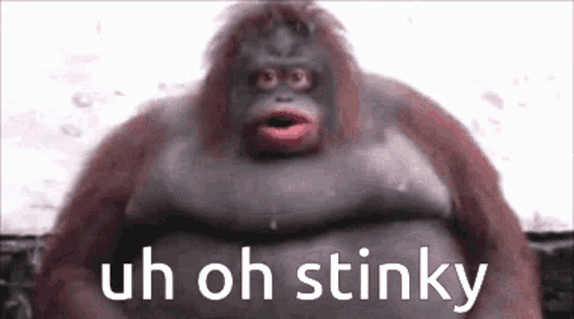 uh oh stinky meme uh oh stinky meme