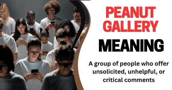 Peanut Gallery Meaning Slang Origin and Use Peanut Gallery Meaning Slang Origin and Use