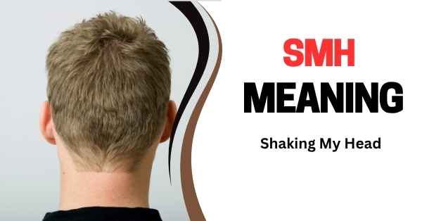 SMH Meaning, Origin and Use SMH Meaning, Origin and Use
