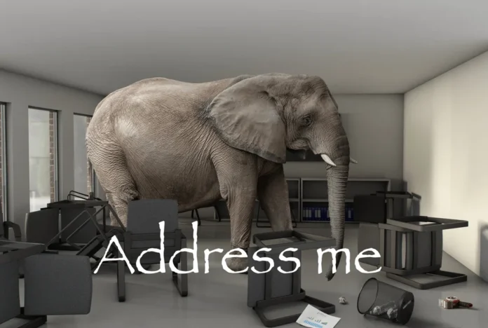 address me elephant meme address me elephant meme