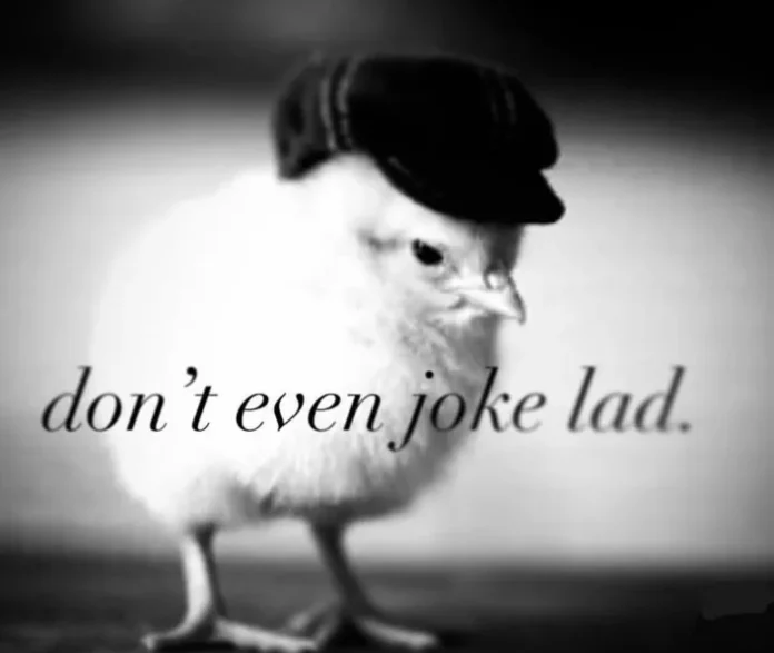 don't even joke lad Meme don't even joke lad Meme