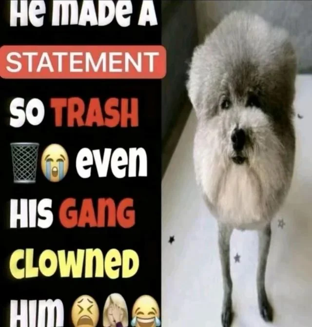 He Made a Statement So Trash Even His Gang Clowned Him Meaning and Origin He Made a Statement So Trash Even His Gang Clowned Him Meaning and Origin