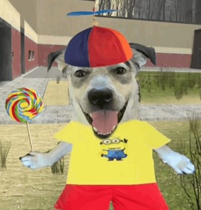 Propeller Hat Dog