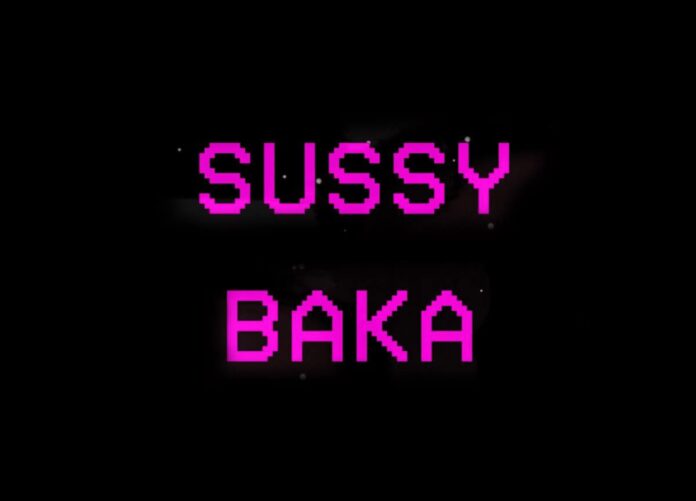 Sussy Baka Meaning