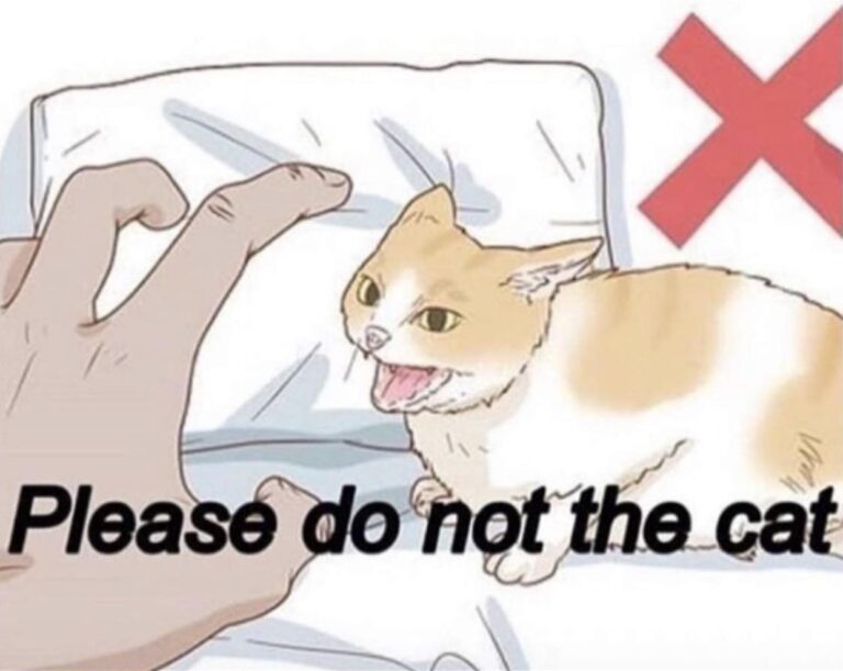 please do not the cat