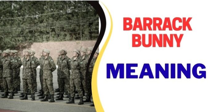 Barrack Bunny Meaning, Definition and Origin Barrack Bunny Meaning, Definition and Origin