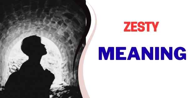 Zesty Slang Meaning and Origin Zesty Slang Meaning and Origin