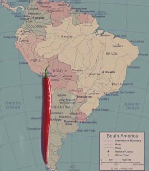 Chile Memes Meaning Chile Memes Meaning