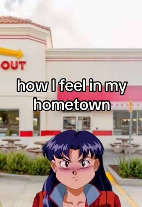 How I Feel In My Hometown Meme How I Feel In My Hometown Meme