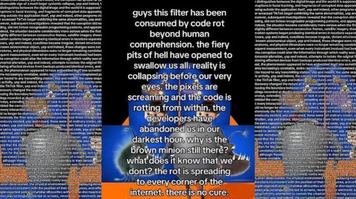 Code Rot Filter Meme Meaning and Origin