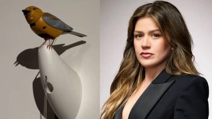 Kelly Clarkson Singing Bird Drama Art of Play Meme Origin and Meaning Kelly Clarkson Singing Bird Drama Art of Play Meme Origin and Meaning