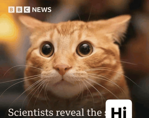Scientists Reveal the Hi Meme Scientists Reveal the Hi Meme